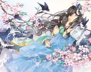 黄p软件官网